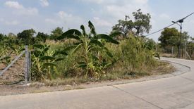 ขายที่ดิน ใน บางหลวง, เมืองปทุมธานี