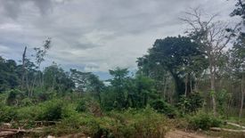 Land for sale in Pa Khlok, Phuket