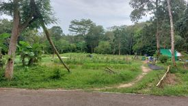 Land for sale in Pa Khlok, Phuket