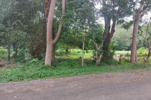 Land for sale in Pa Khlok, Phuket