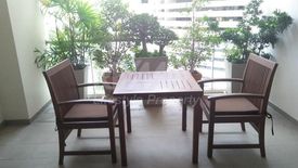 3 Bedroom Condo for rent in D'Raj Residences, Khlong Toei, Bangkok near BTS Asoke