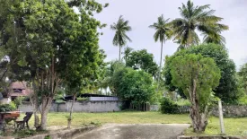 Land for sale in Pong, Chonburi