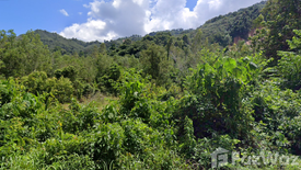 Land for sale in Choeng Thale, Phuket