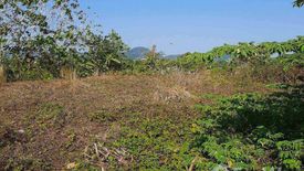 Land for sale in Choeng Thale, Phuket