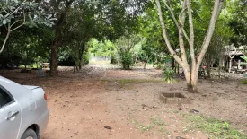 Land for sale in Si Song Rak, Loei