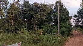 Land for sale in Rai Noi, Ubon Ratchathani