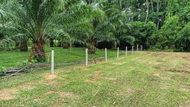 Land for sale in Na Tham Nuea, Trang