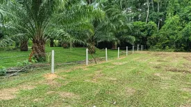 Land for sale in Na Tham Nuea, Trang