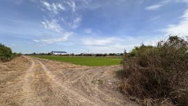 Land for sale in Naraphirom, Nakhon Pathom