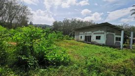 Land for sale in Ban Khuan Mut, Nakhon Si Thammarat