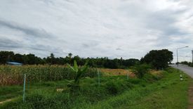 Land for sale in Pak Nam, Suphan Buri