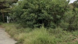 ขายที่ดิน ใน รอบเมือง, เมืองชัยภูมิ