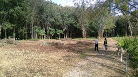 Land for sale in Pa Khlok, Phuket