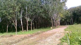 Land for sale in Pa Khlok, Phuket