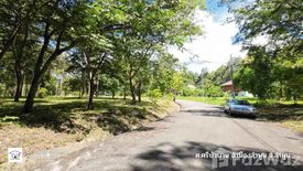 Land for sale in Si Bua Ban, Lamphun