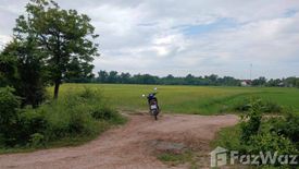 Land for sale in Nong Ya Plong, Uthai Thani