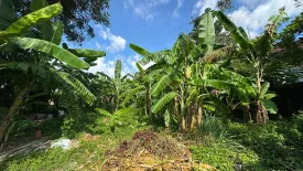 Land for sale in Choeng Thale, Phuket