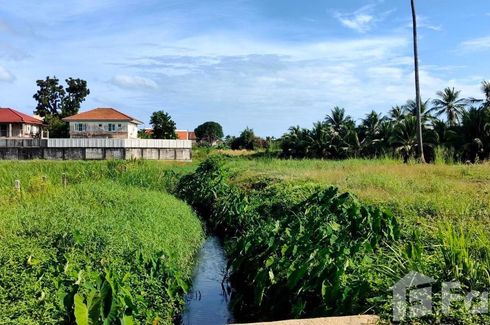 ขายที่ดิน ใน ฉลอง, เมืองภูเก็ต