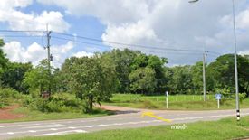 Land for sale in Na Sai, Nakhon Phanom