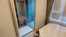 1 Bedroom Condo for rent in Plum Condo Sukhumvit 62, Bang Chak, Bangkok near BTS Bang Chak