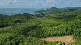 Land for sale in Ko Yao Noi, Phang Nga