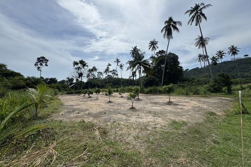 ขายที่ดิน ใน หน้าเมือง, เกาะสมุย