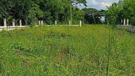 Land for sale in Chakkarat, Nakhon Ratchasima