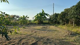 Land for sale in Choeng Doi, Chiang Mai