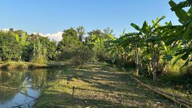 Land for sale in Choeng Doi, Chiang Mai