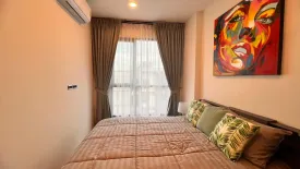 1 Bedroom Condo for rent in SPACE Condominium Phuket, Wichit, Phuket