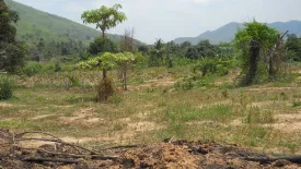 Land for sale in Nong Phlap, Prachuap Khiri Khan