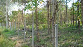 Land for sale in Nong Phlap, Prachuap Khiri Khan