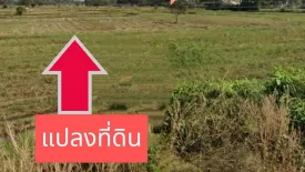 Land for sale in Si Lako, Nakhon Ratchasima