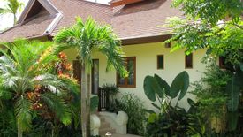 11 Bedroom Hotel / Resort for sale in Tha Sala, Chiang Mai