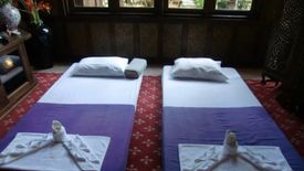 41 Bedroom Hotel / Resort for sale in Chiang Dao, Chiang Mai