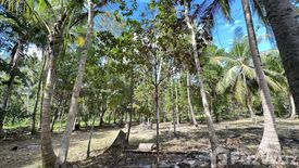 Land for sale in Ban Tai, Surat Thani