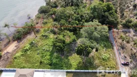 Land for sale in Ko Chang, Trat