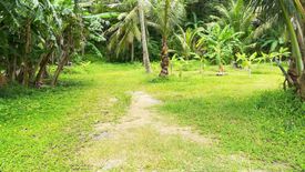 ขายที่ดิน ใน 