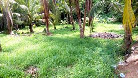 ขายที่ดิน ใน 