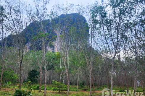 Land for sale in Nong Thale, Krabi