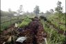 Tanah dijual dengan  di Guntung Payung, Kalimantan Selatan