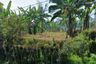 Land for sale in Trawas, East Java
