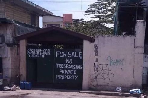 Land for sale in San Dionisio, Metro Manila
