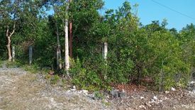 Land for sale in Bingag, Bohol