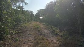 Land for sale in Bingag, Bohol