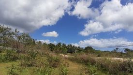 Land for sale in Danao, Bohol