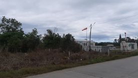 Land for sale in Tinago, Bohol