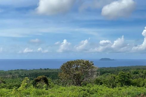 Land for sale in Tunga-Tunga, Negros Oriental