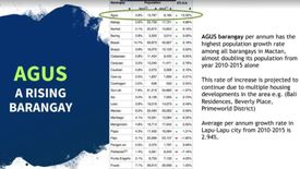Land for sale in Agus, Cebu