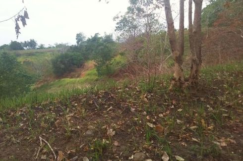 Land for sale in Dawis, Negros Oriental